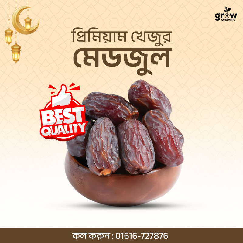 Premium Medjul Large Dates