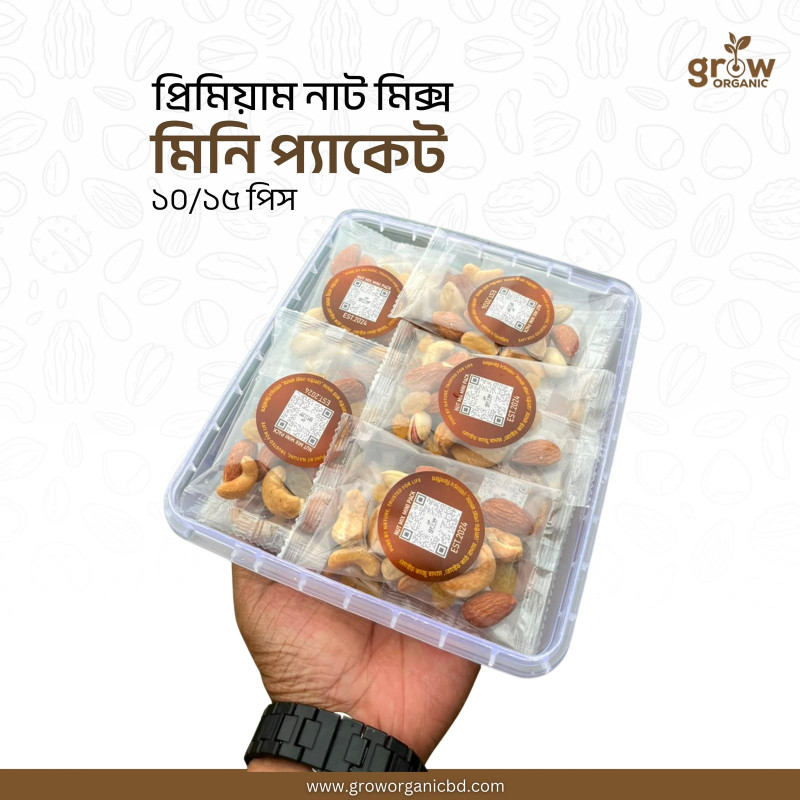 10 Pcs Premium Nut Mix Mini Pack