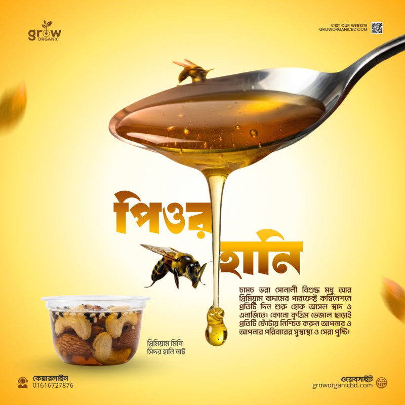Premium Mini Kashmiri Sidr Honey Nut (9 Pcs)