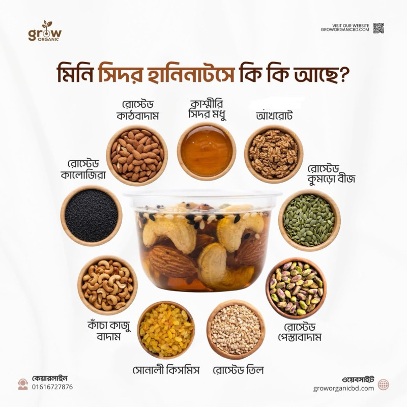 Premium Mini Kashmiri Sidr Honey Nut (42 Pcs)