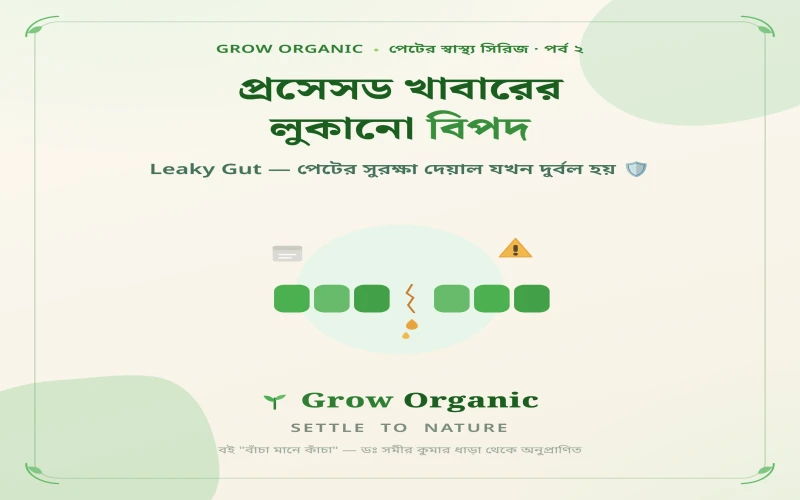 Leaky Gut: প্রসেসড খাবারের লুকানো বিপদ