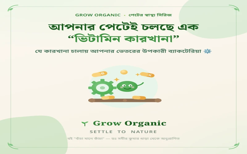 আপনার পেটেই চলছে এক "ভিটামিন কারখানা"