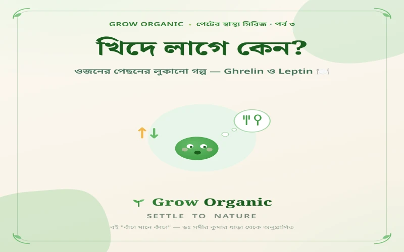খিদে লাগে কেন? ওজনের পেছনের লুকানো গল্প