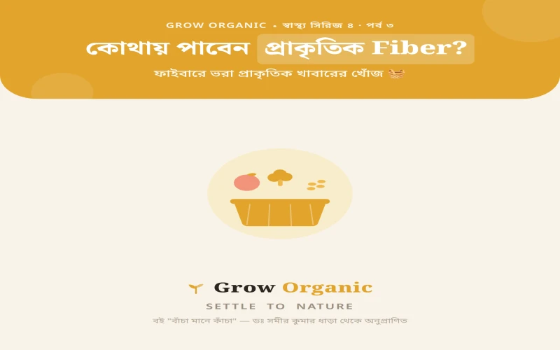 পর্ব ৩ — কোথায় পাবেন প্রাকৃতিক Fiber?