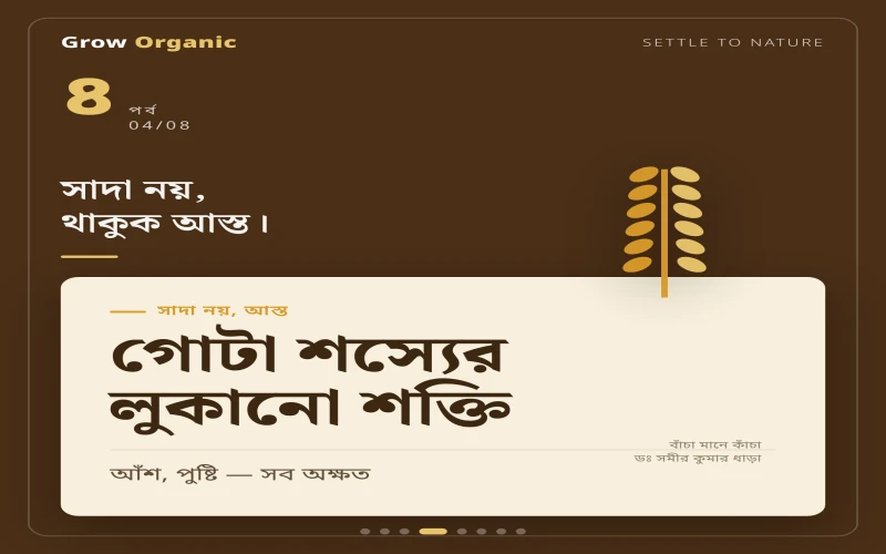 পর্ব ৪ — সাদা নয়, আস্ত: গোটা শস্যের শক্তি